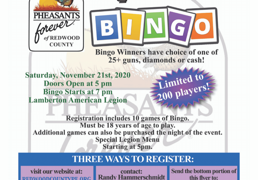 Gun & Diamond Bingo in Lambeton