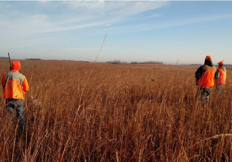 Pheasants Forever