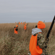 2027 Pheasant opener